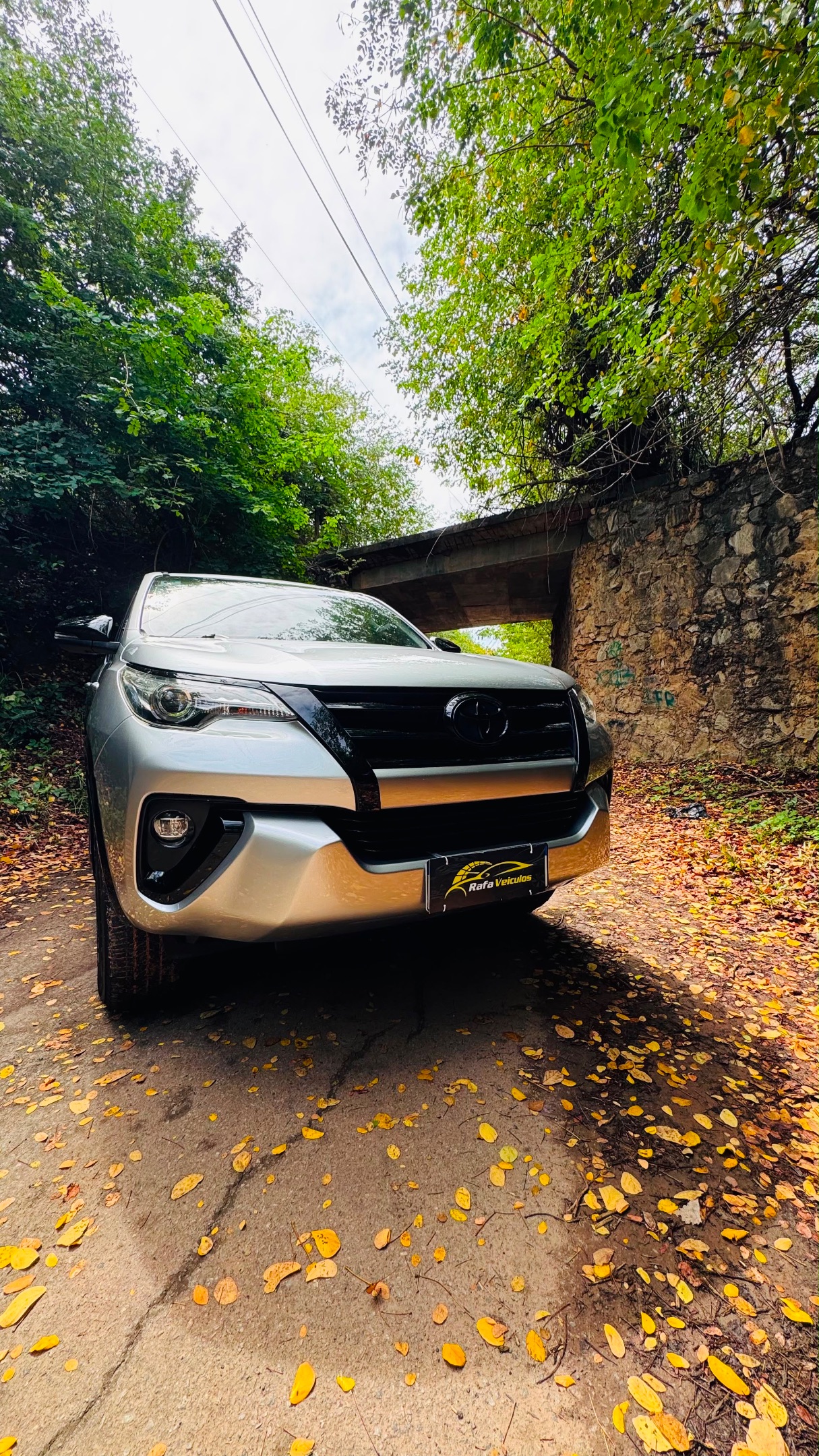 Toyota Hilux SW4 2019