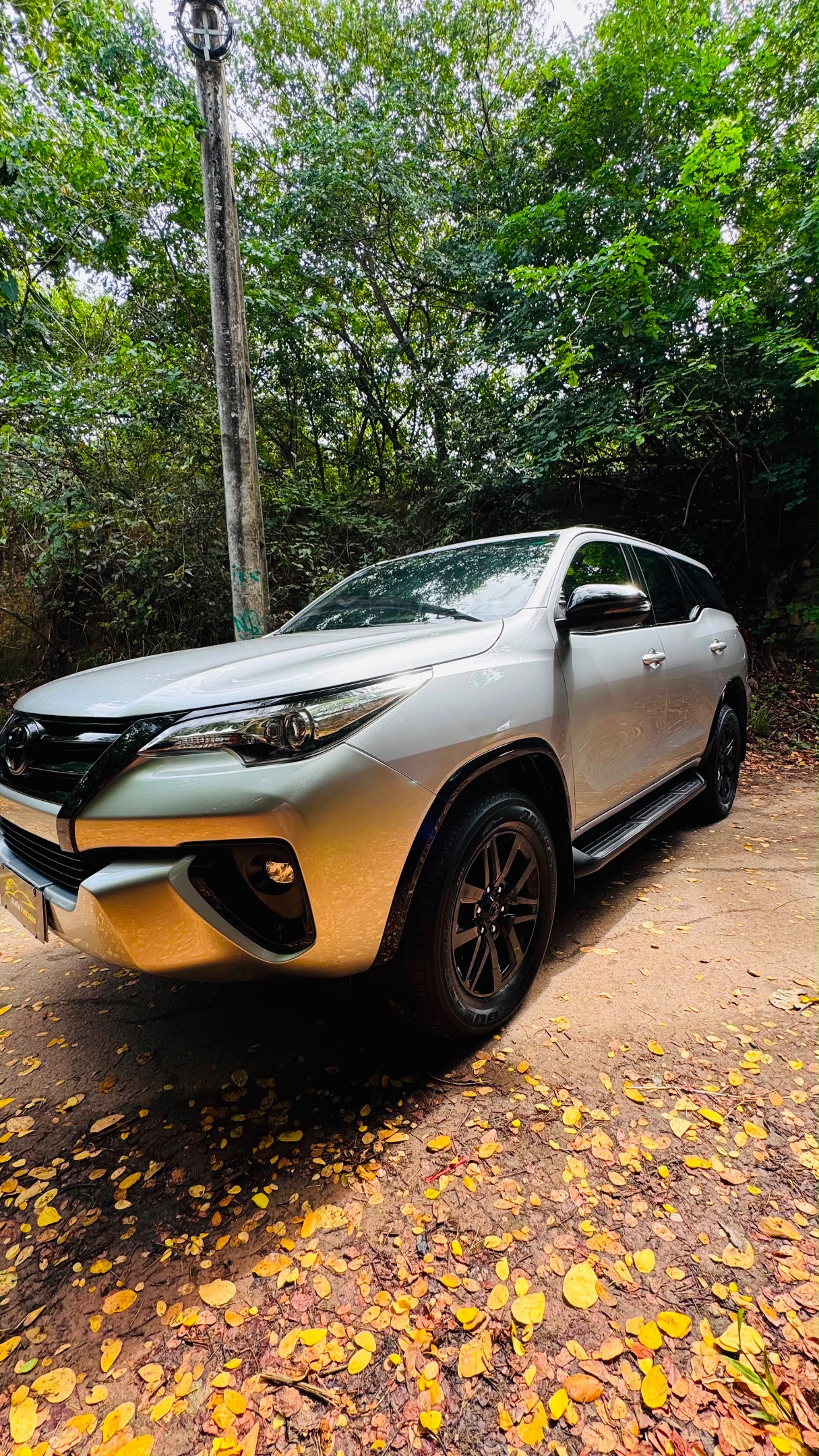 Toyota Hilux SW4 10