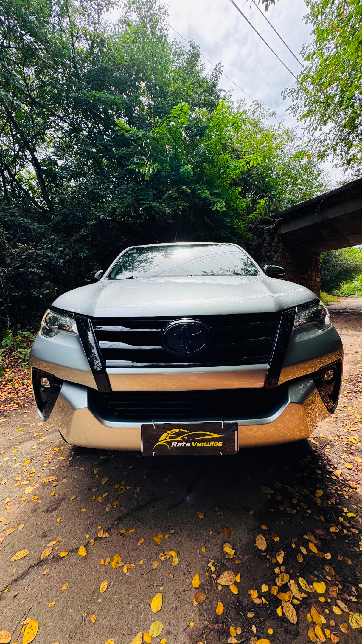 Toyota Hilux SW4 11