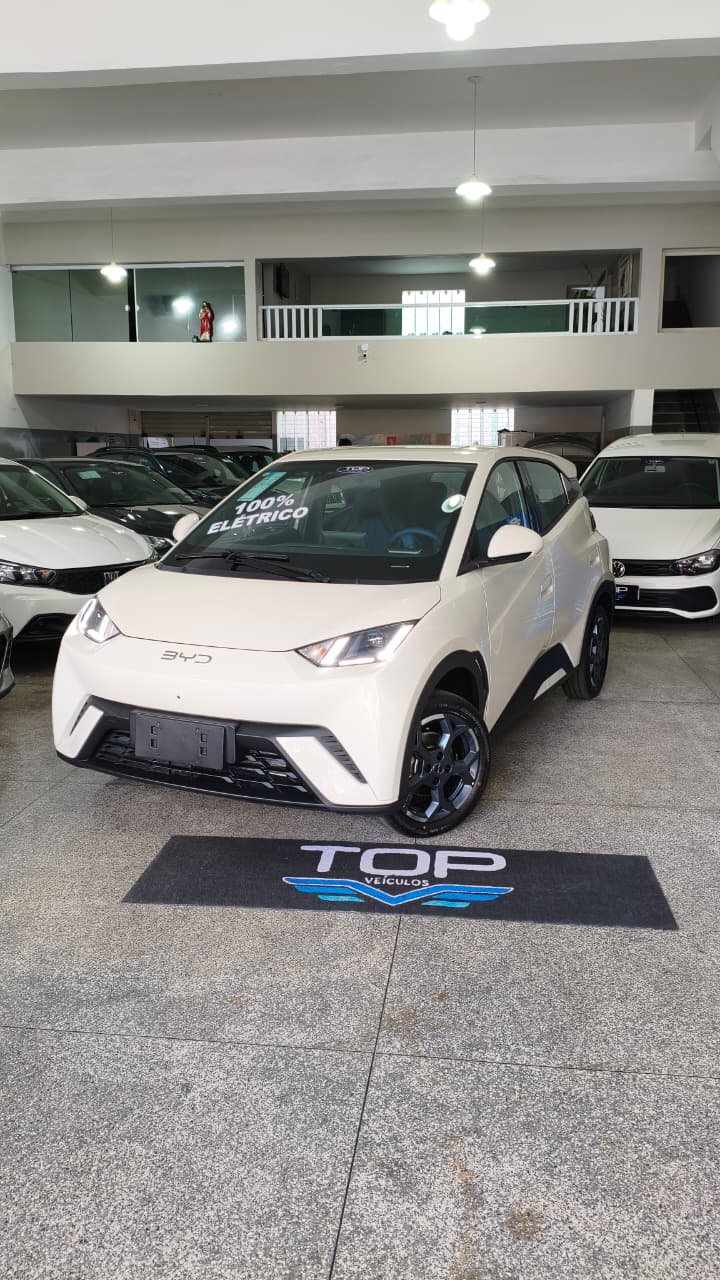 BYD Dolphin 2027