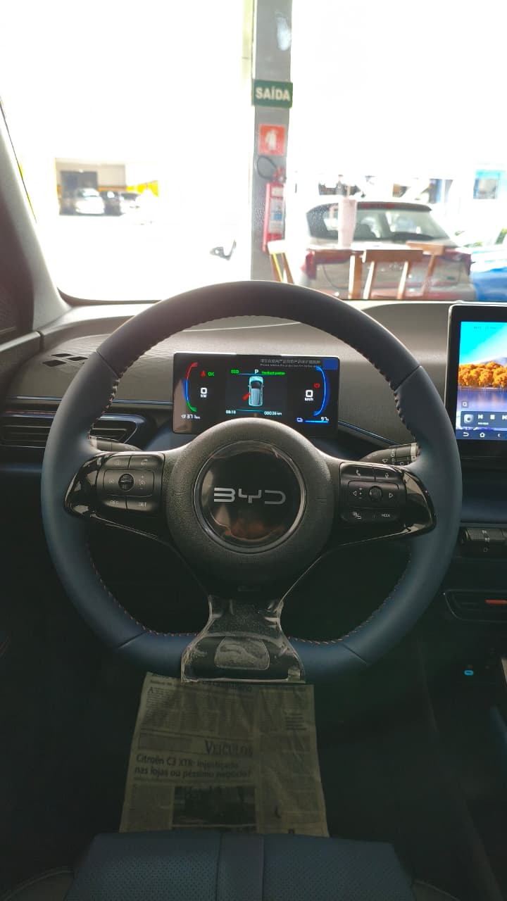 BYD Dolphin 4
