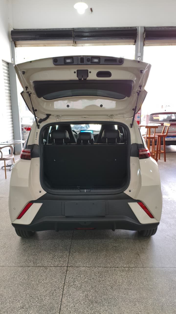 BYD Dolphin 5