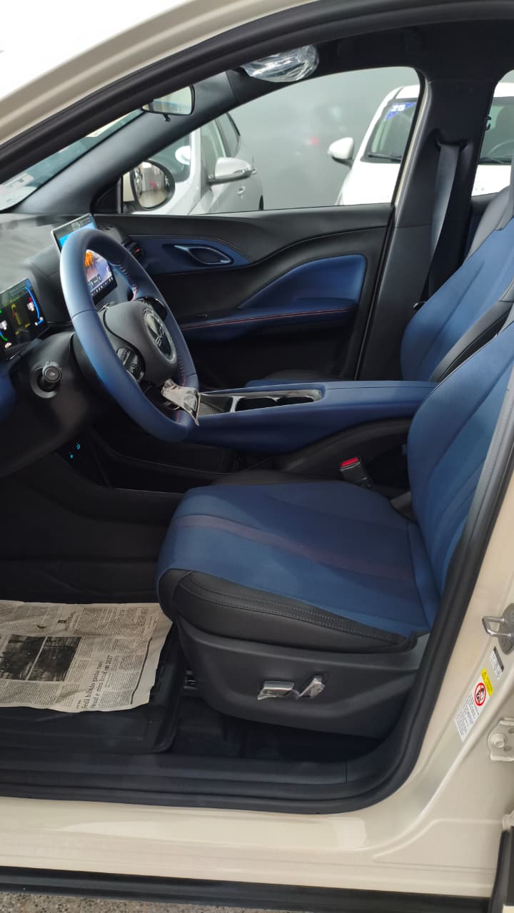 BYD Dolphin 6