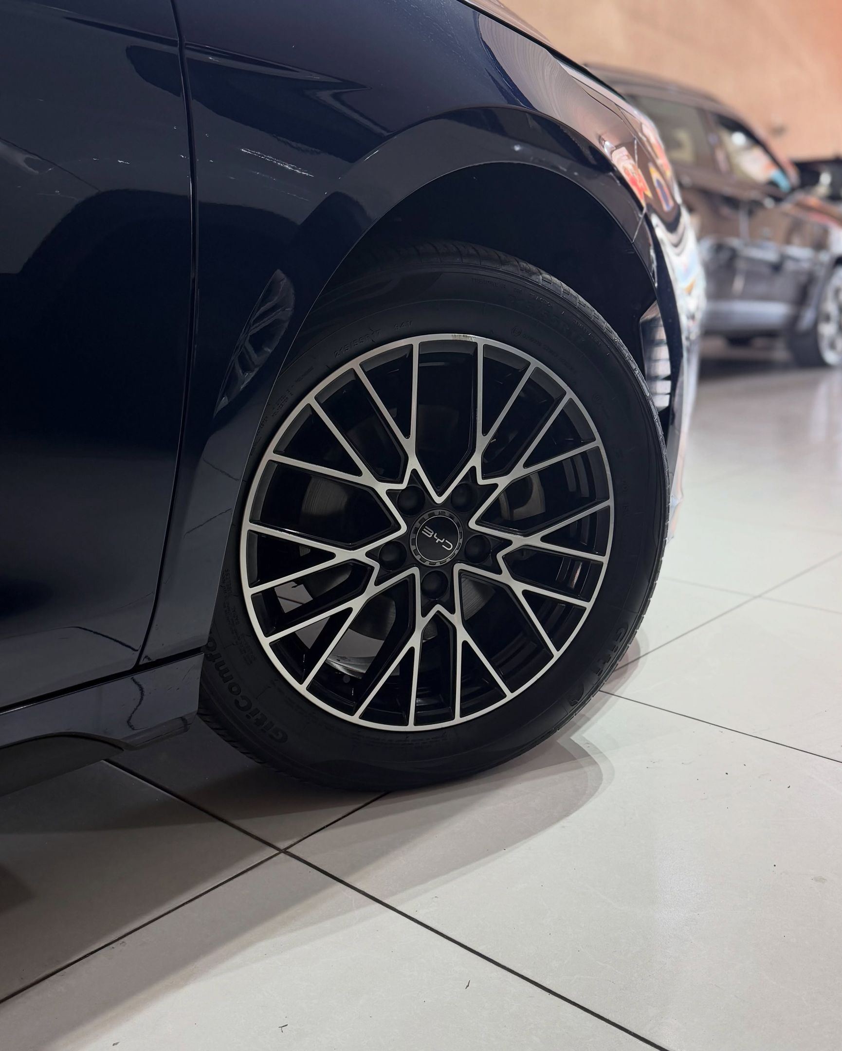 BYD King 10