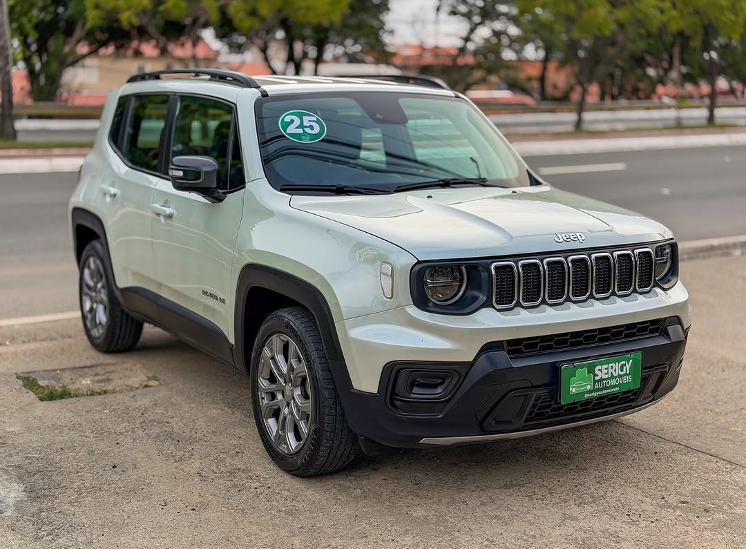 Jeep Renegade 3