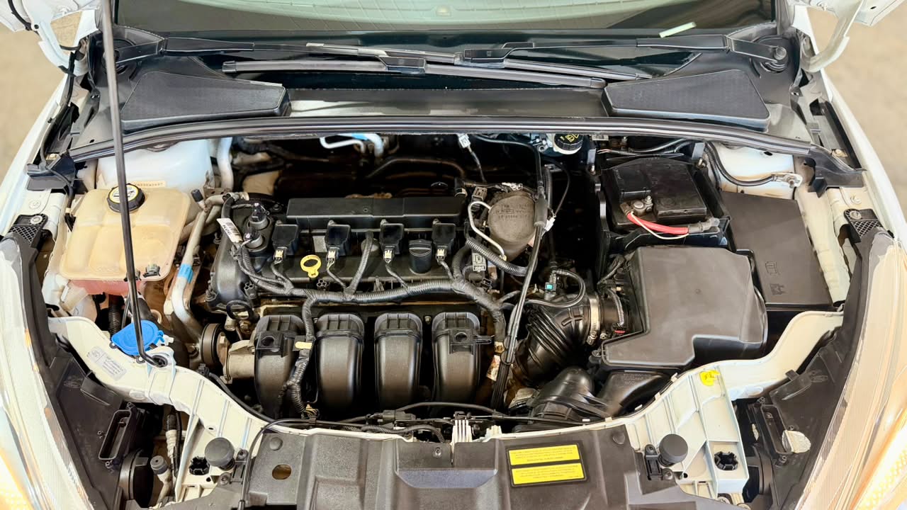 FORD Focus 18