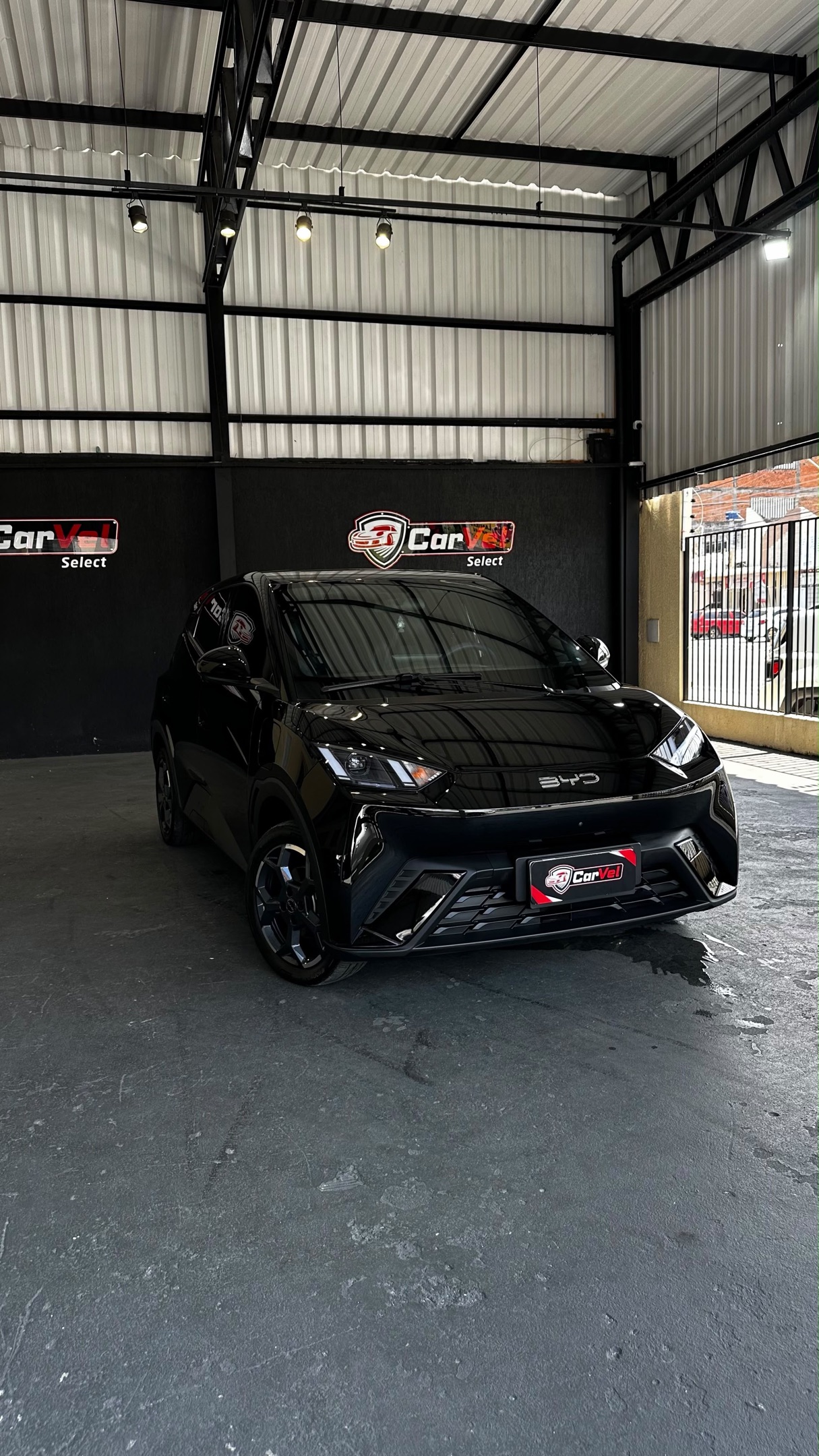 BYD DOLPHIN MINI 2026