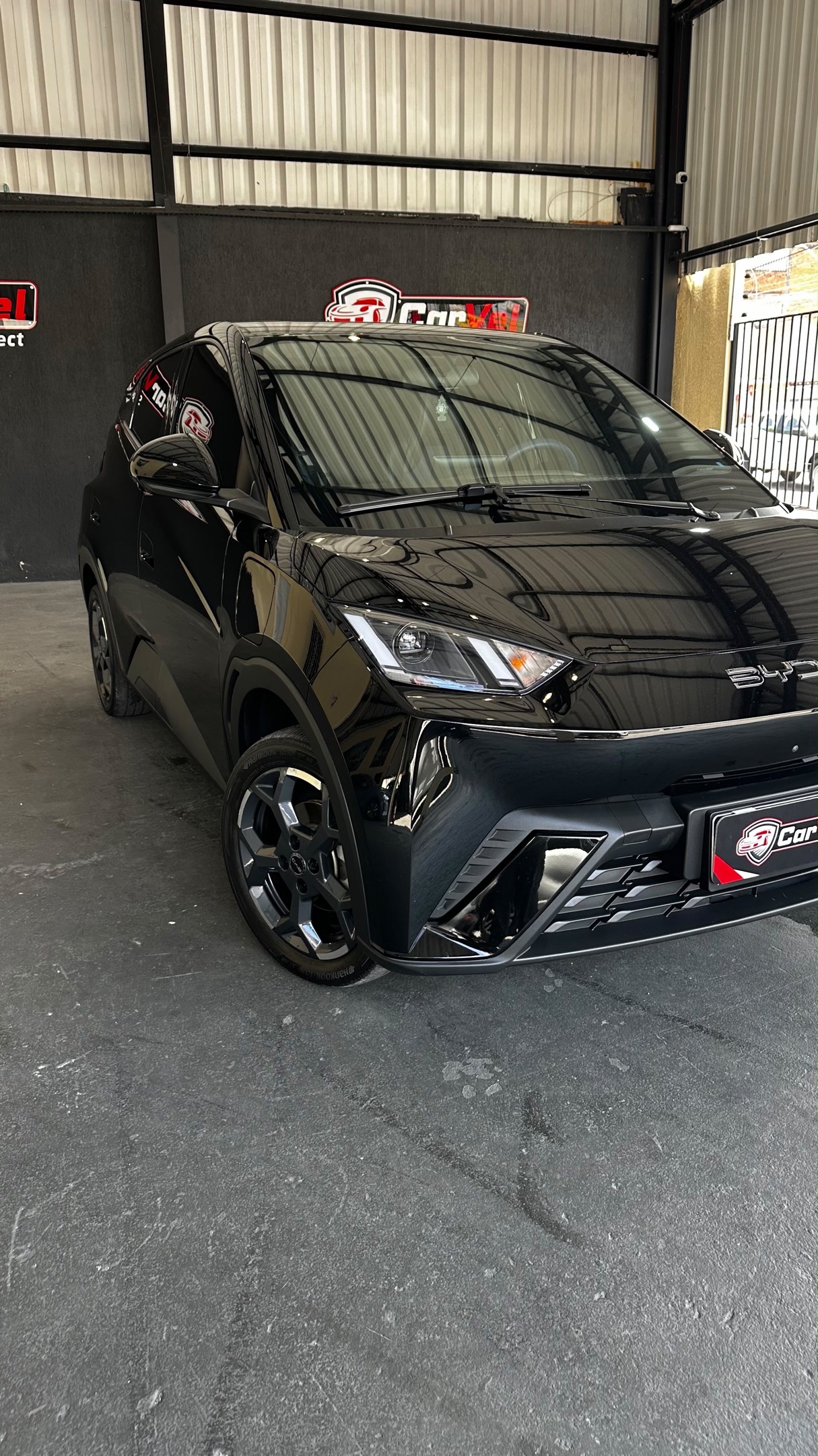 BYD DOLPHIN MINI 2