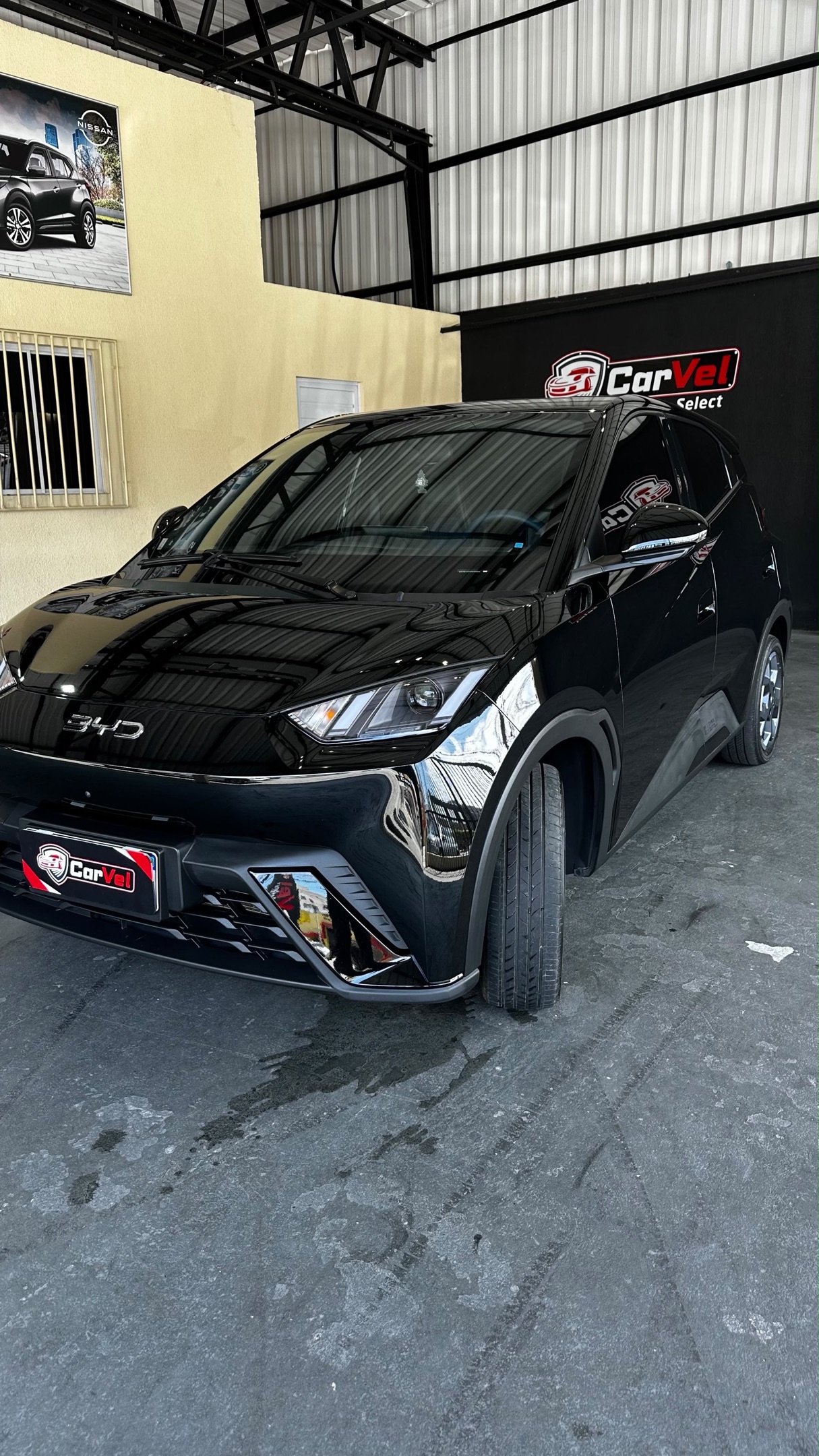 BYD DOLPHIN MINI 3