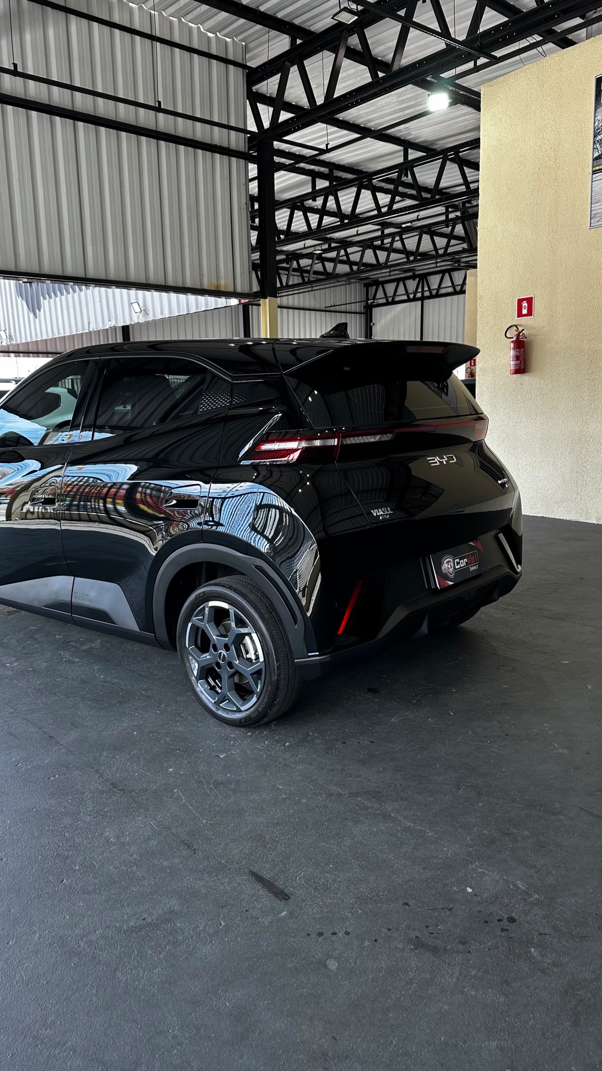 BYD DOLPHIN MINI 6