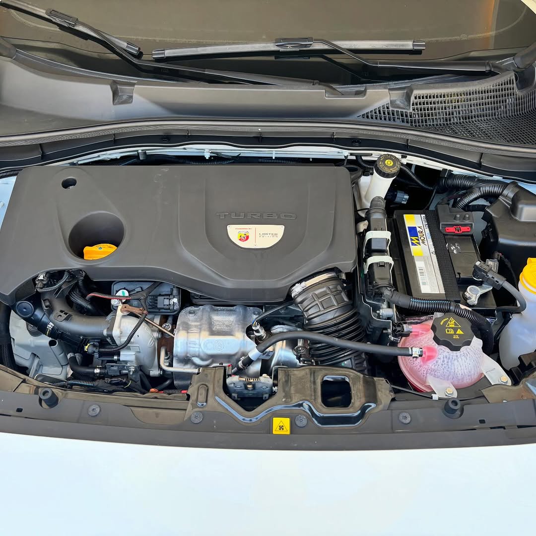 Fiat Fastback 14
