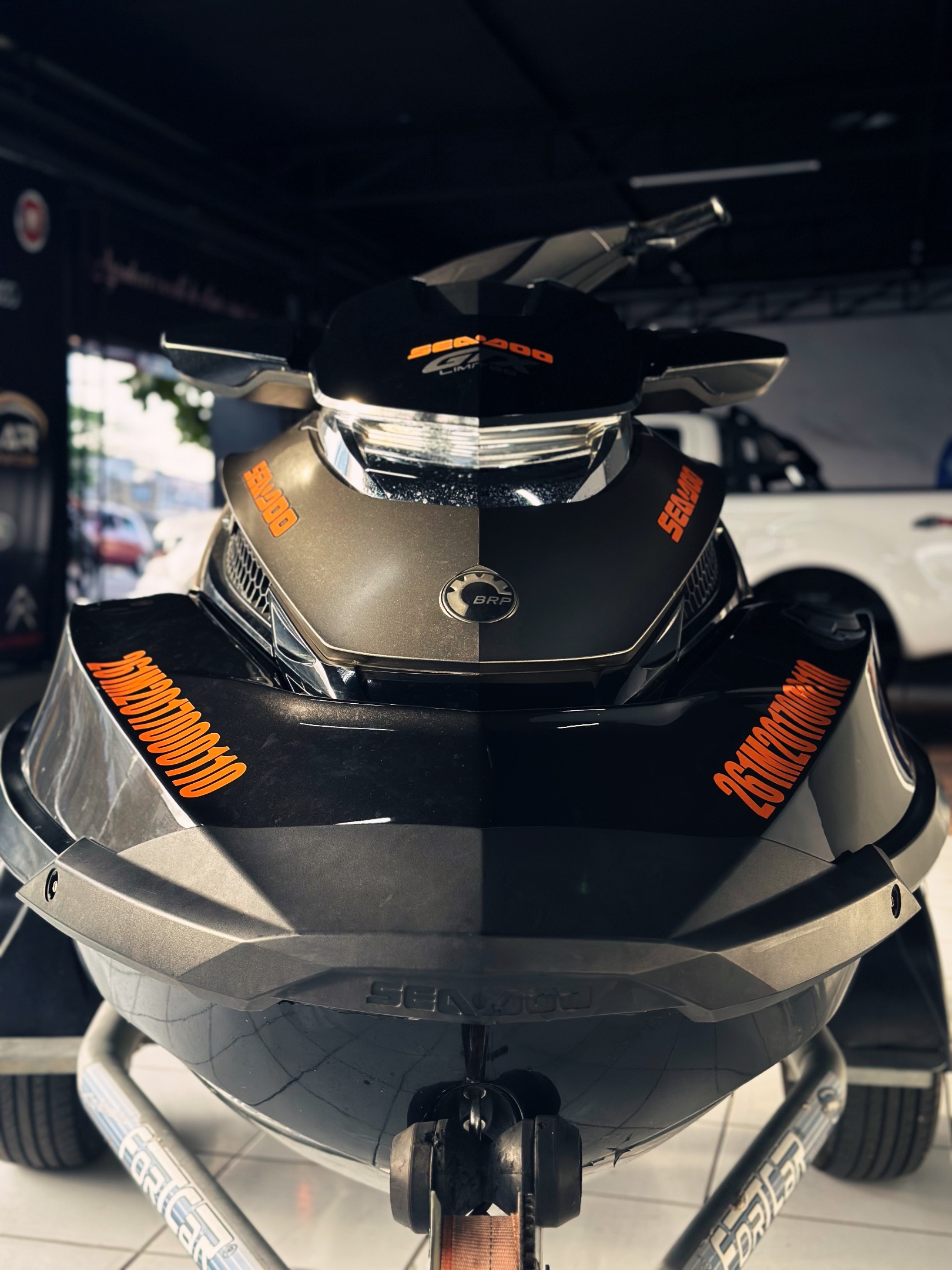 Sea-Door GTX 300 Limited  2