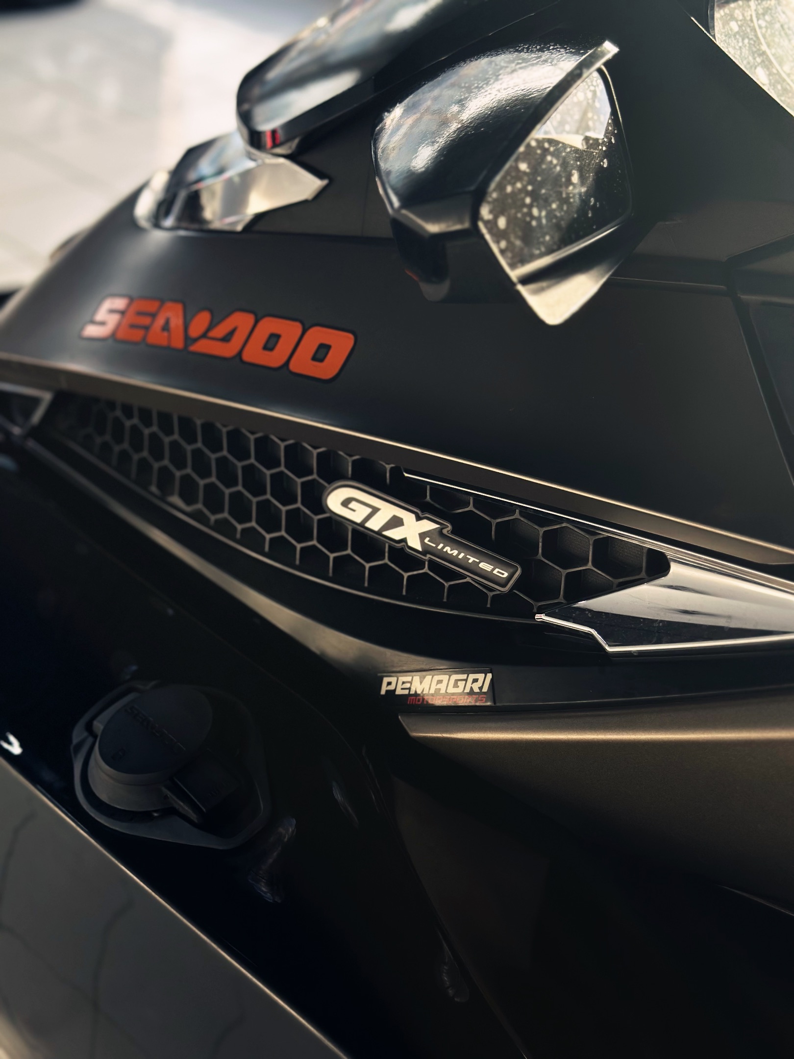 Sea-Door GTX 300 Limited  4