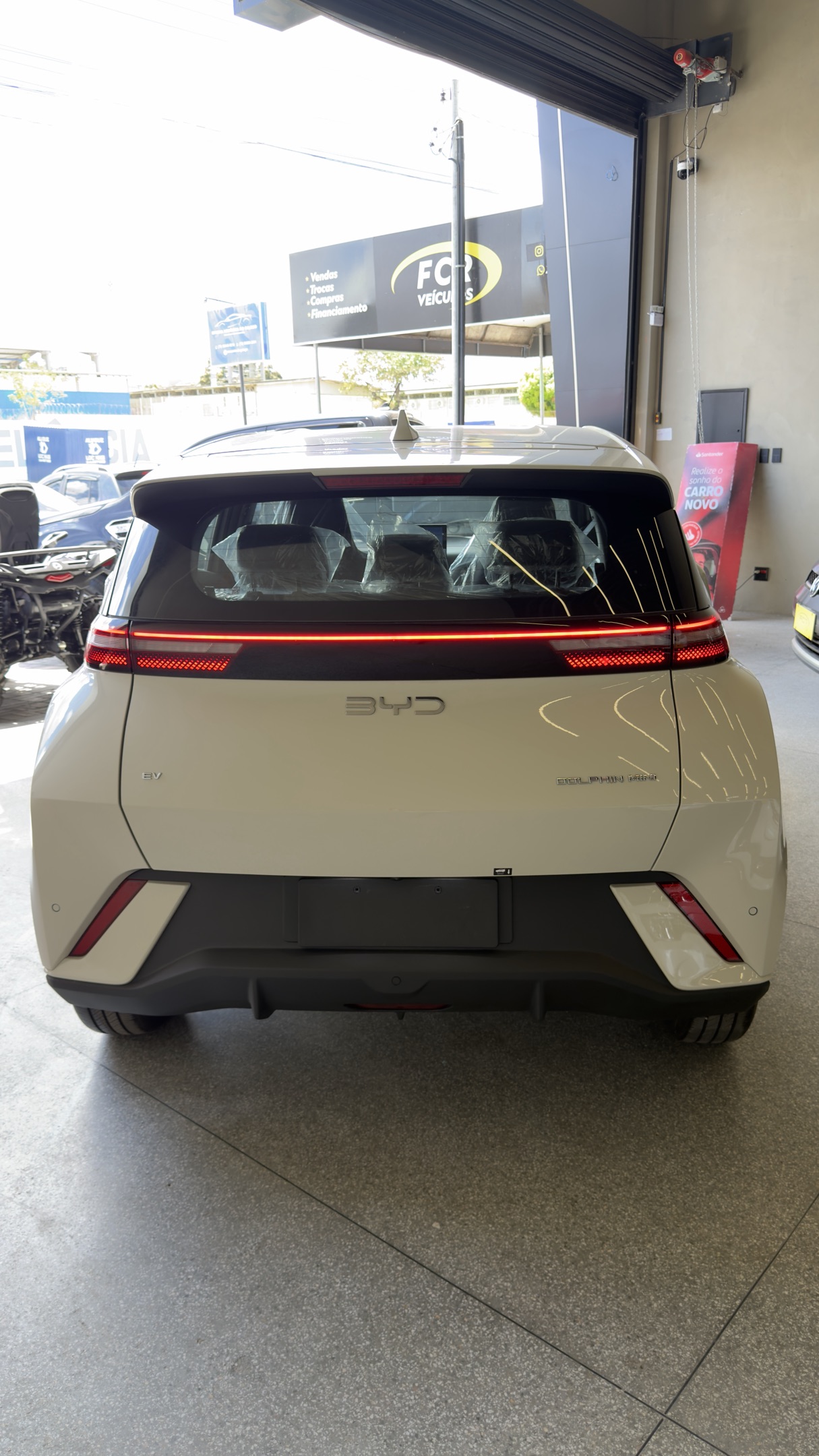 BYD Dolphin 6