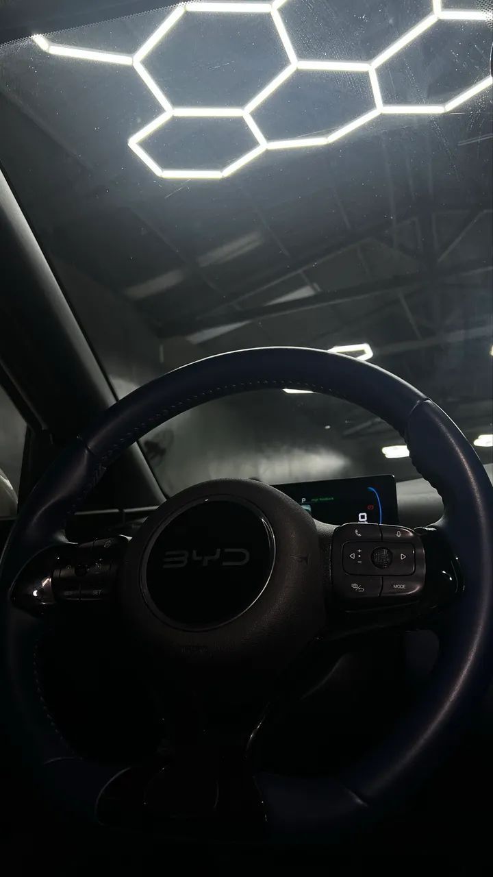 BYD DOLPHIN 2