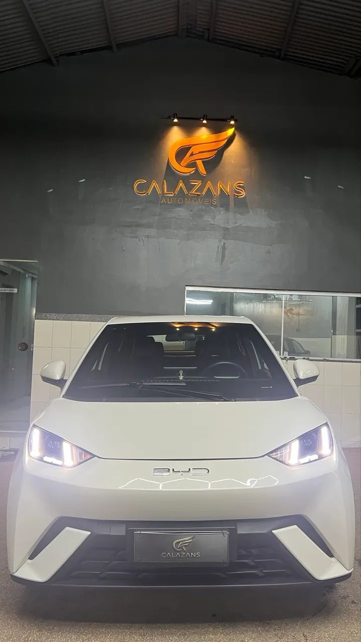 BYD DOLPHIN 6