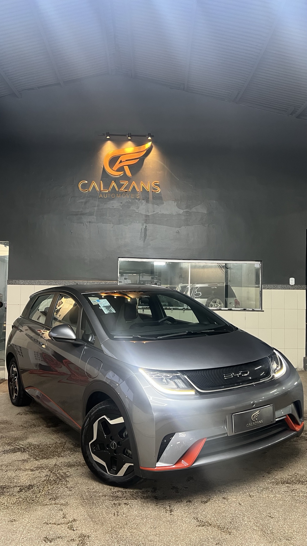 BYD BYD 8