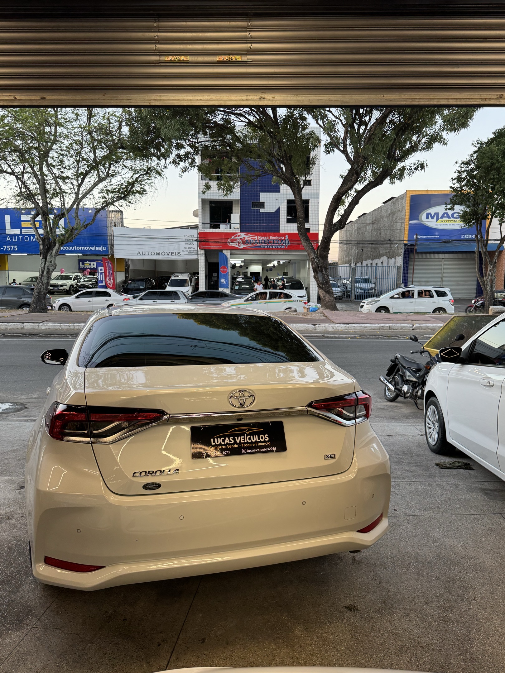 TOYOTA COROLLA 6