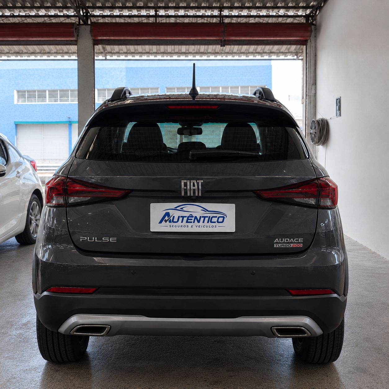 Fiat PULSE 6