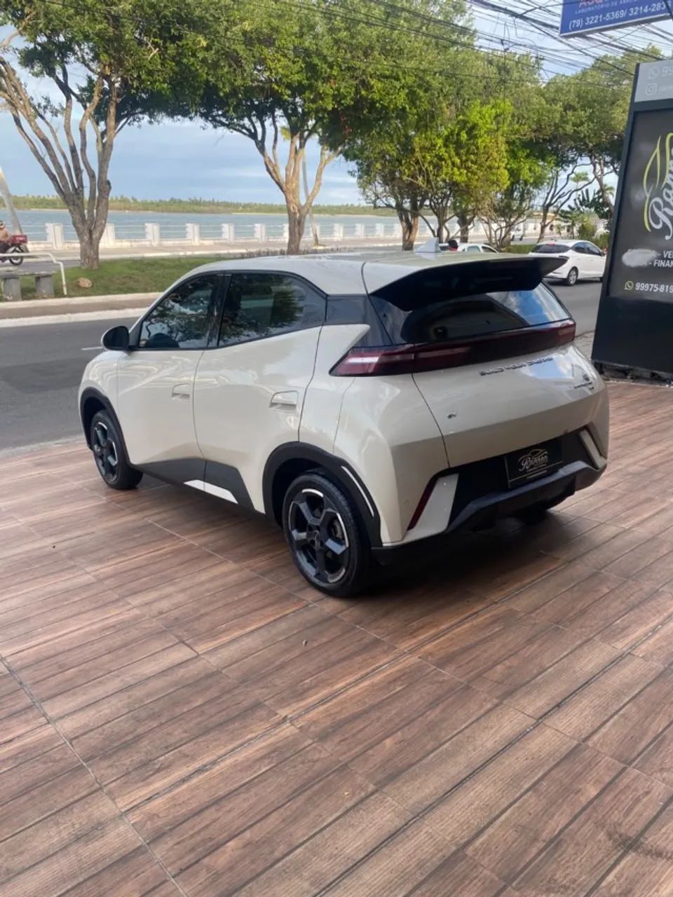 BYD DOLPHIN 6