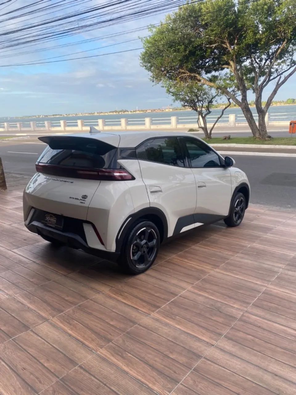 BYD DOLPHIN 4