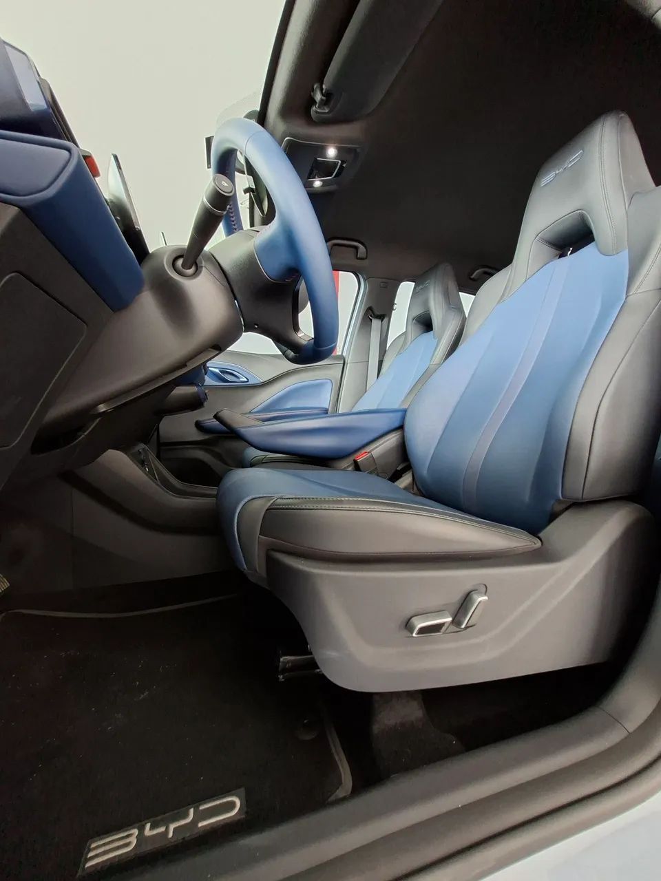 BYD DOLPHIN 10