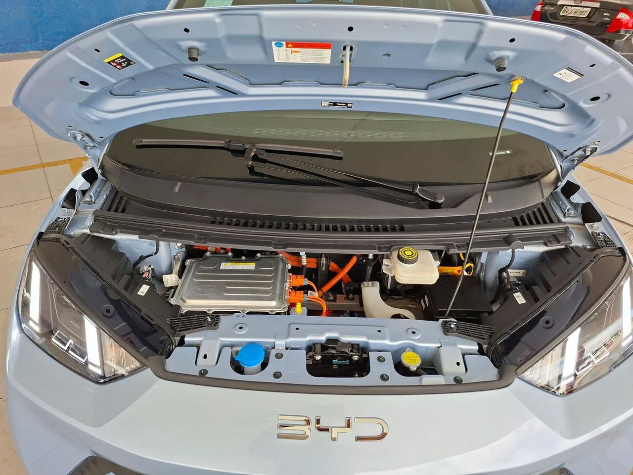 BYD DOLPHIN 5