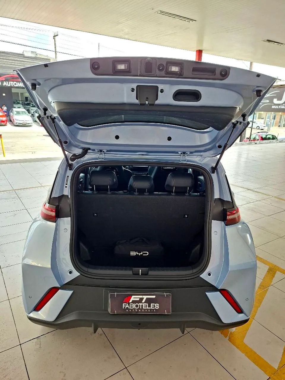 BYD DOLPHIN 18