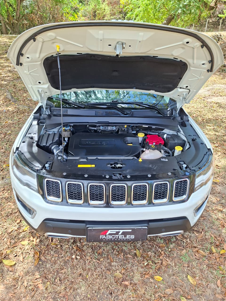 JEEP COMPASS 17