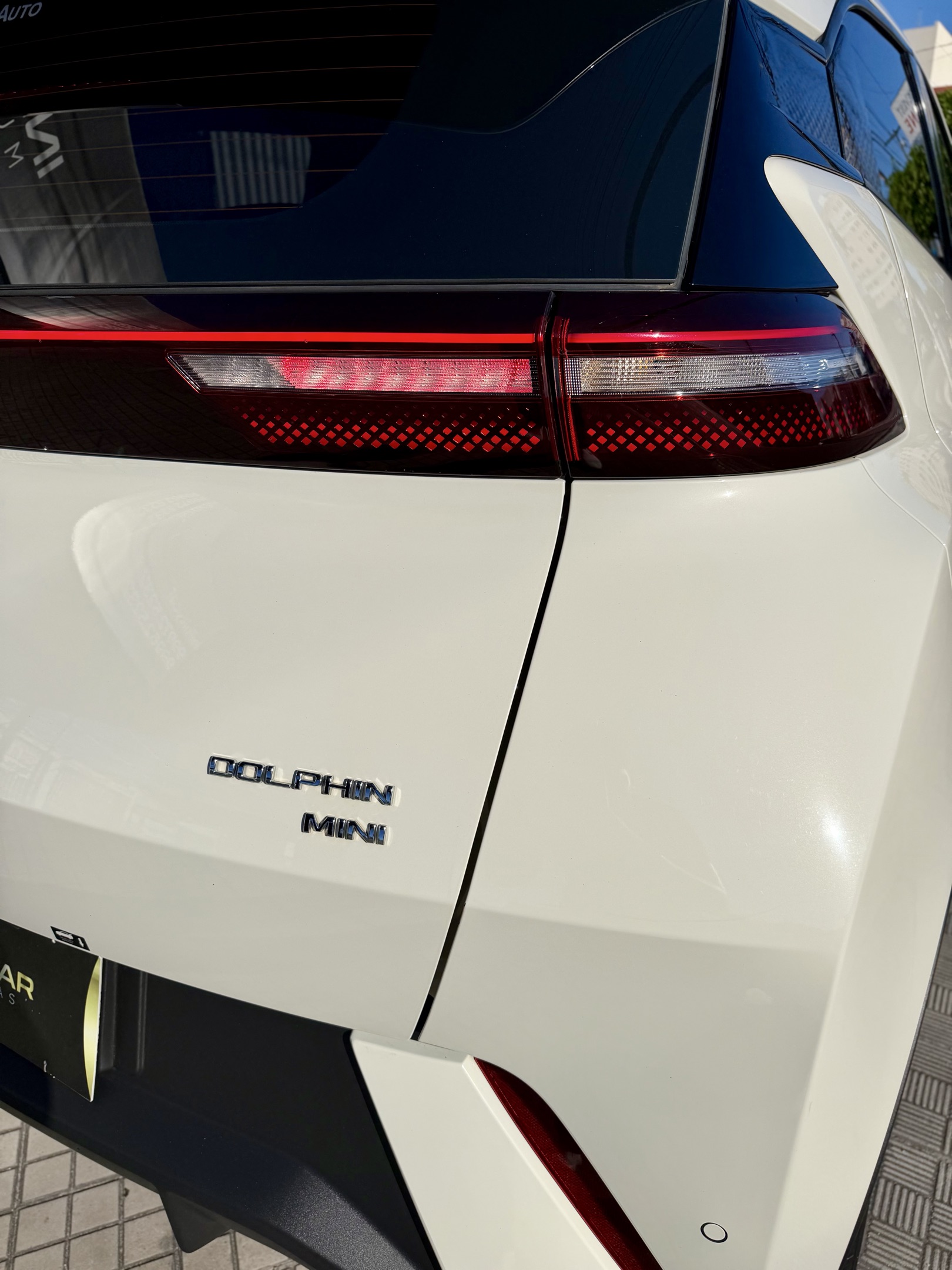 BYD Dolphin 6