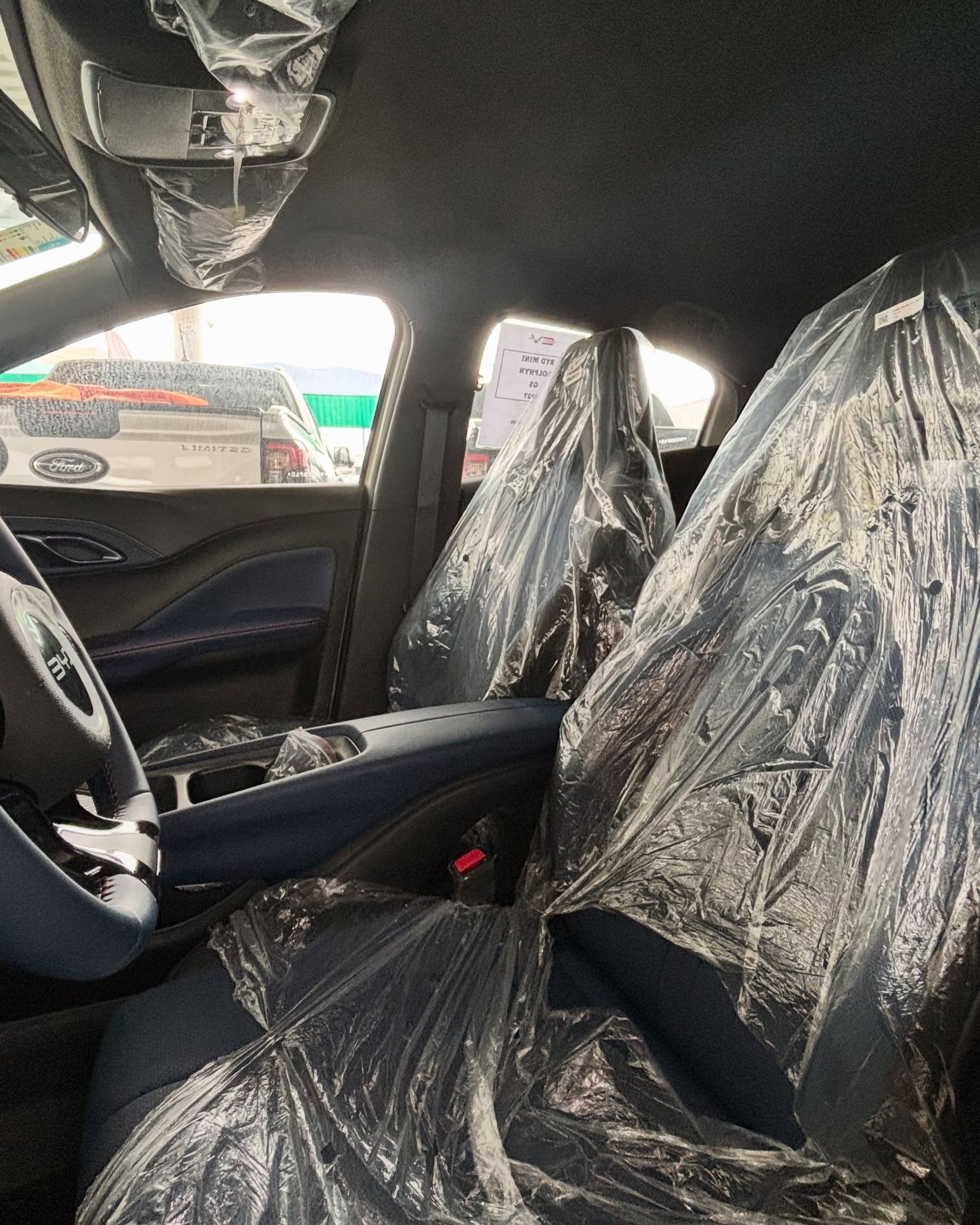 BYD Dolphin 6