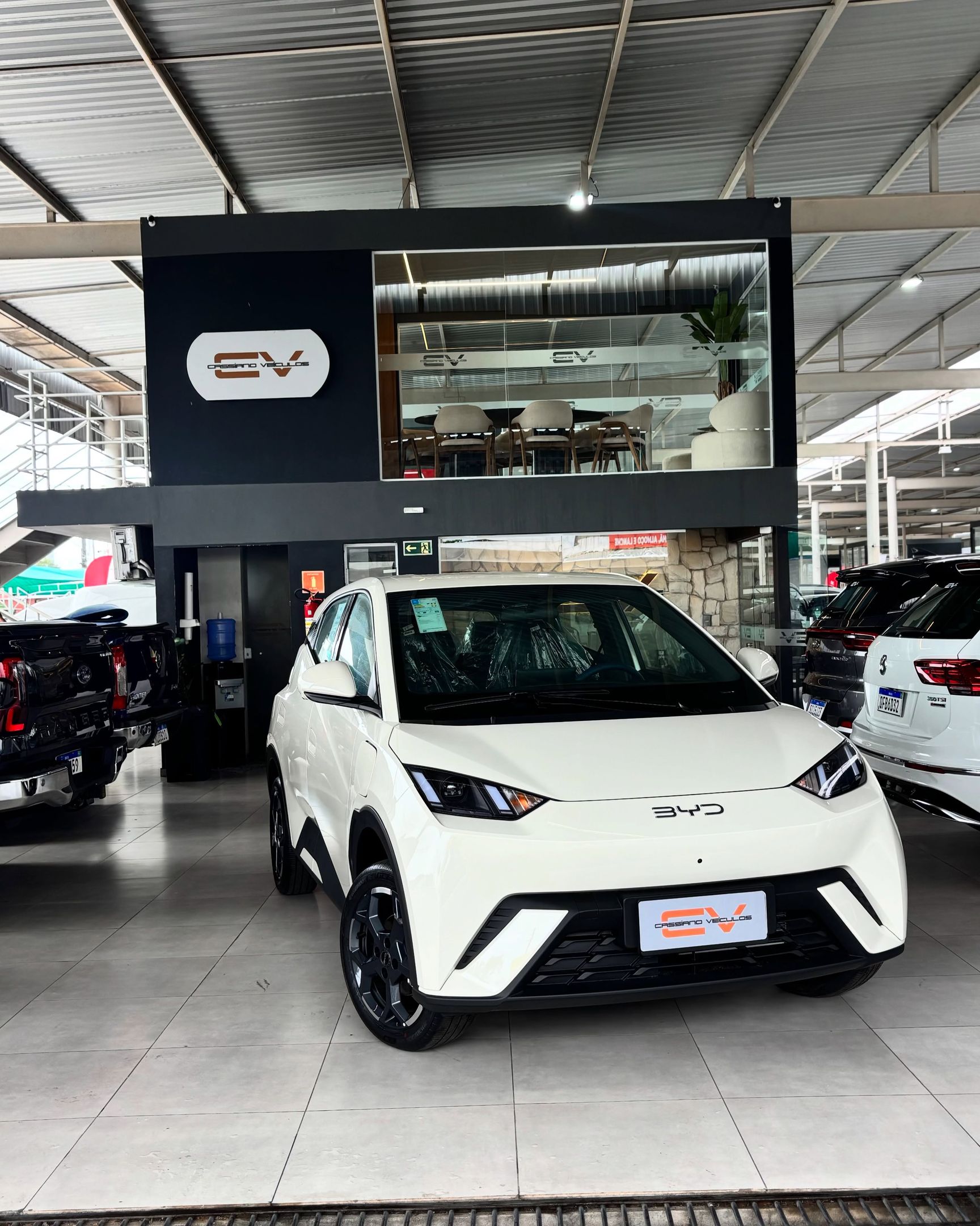 BYD Dolphin 2