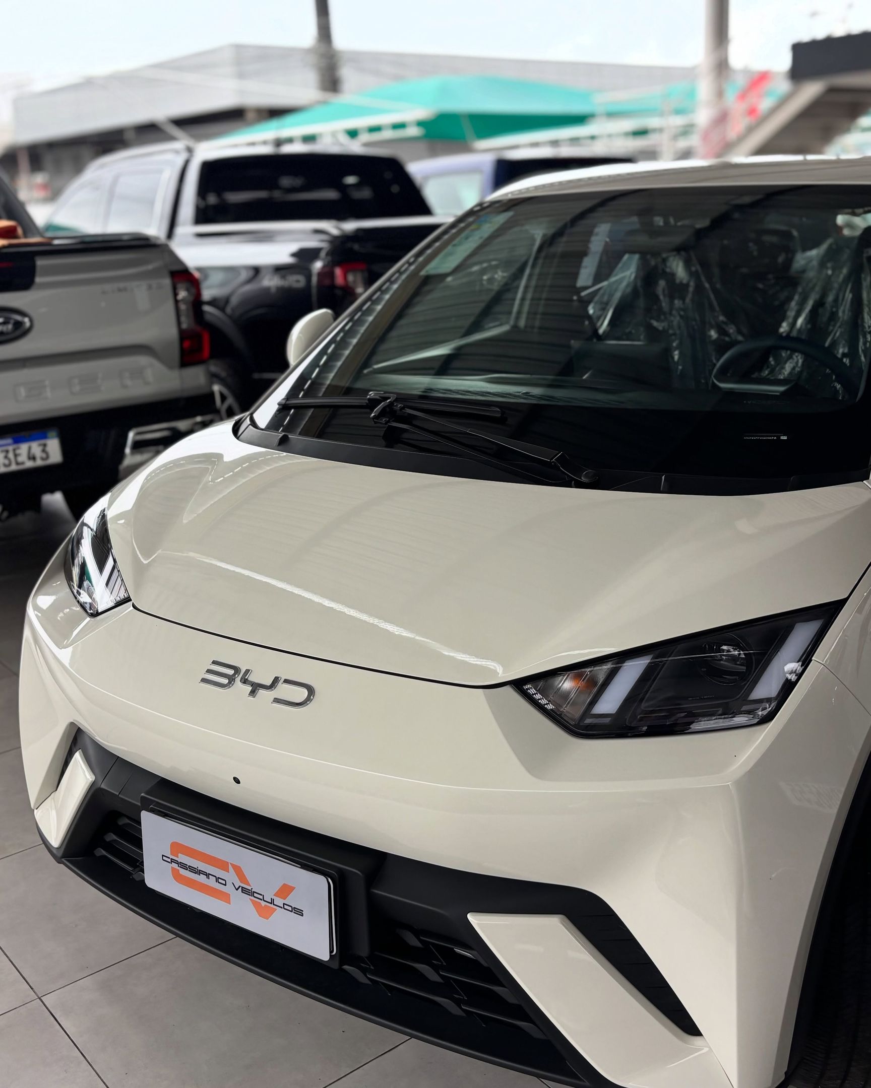 BYD Dolphin 4