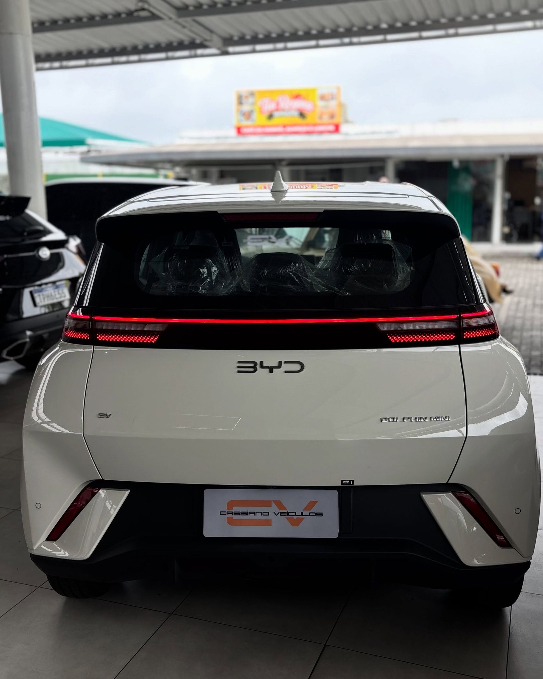 BYD Dolphin 13