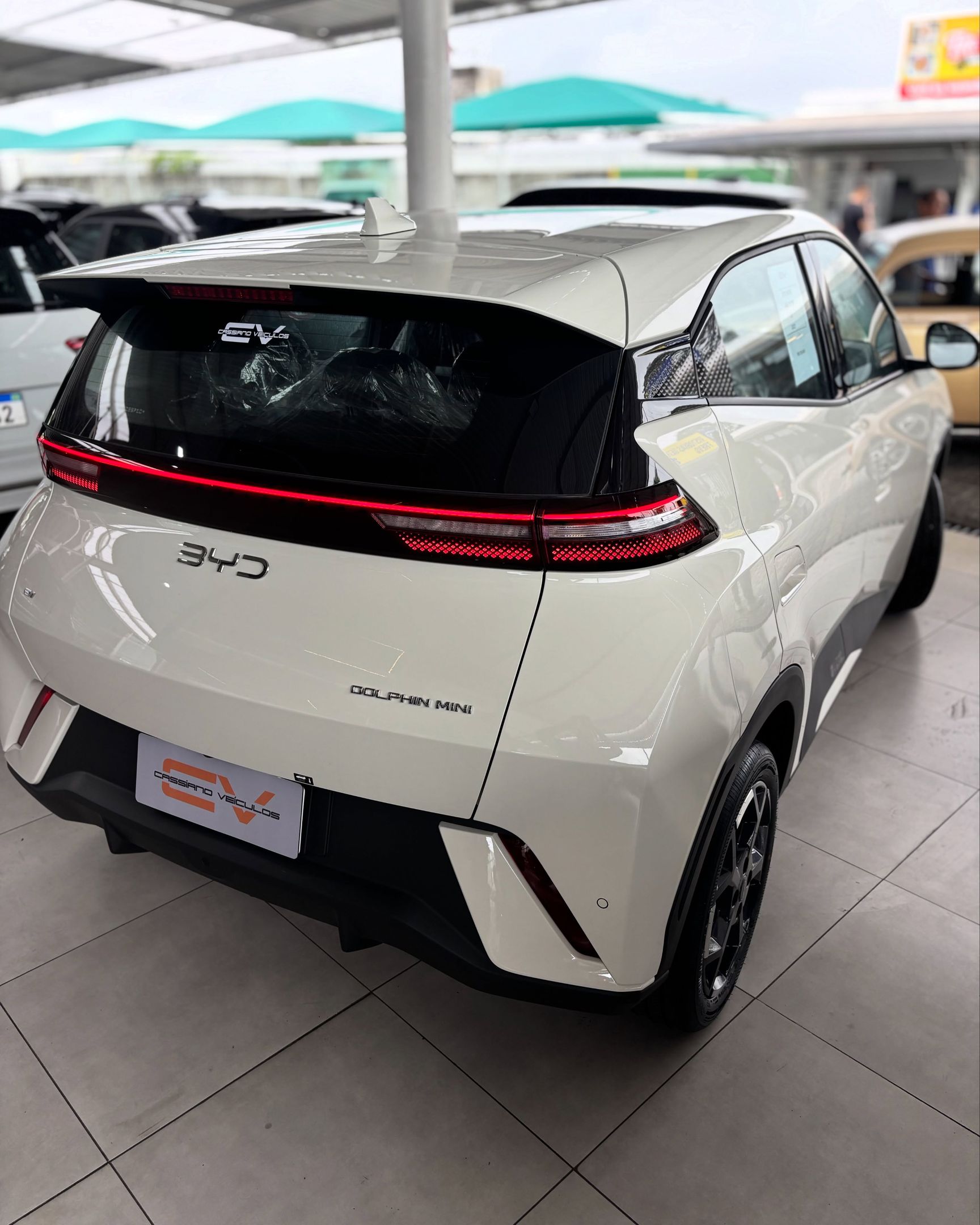 BYD Dolphin 14