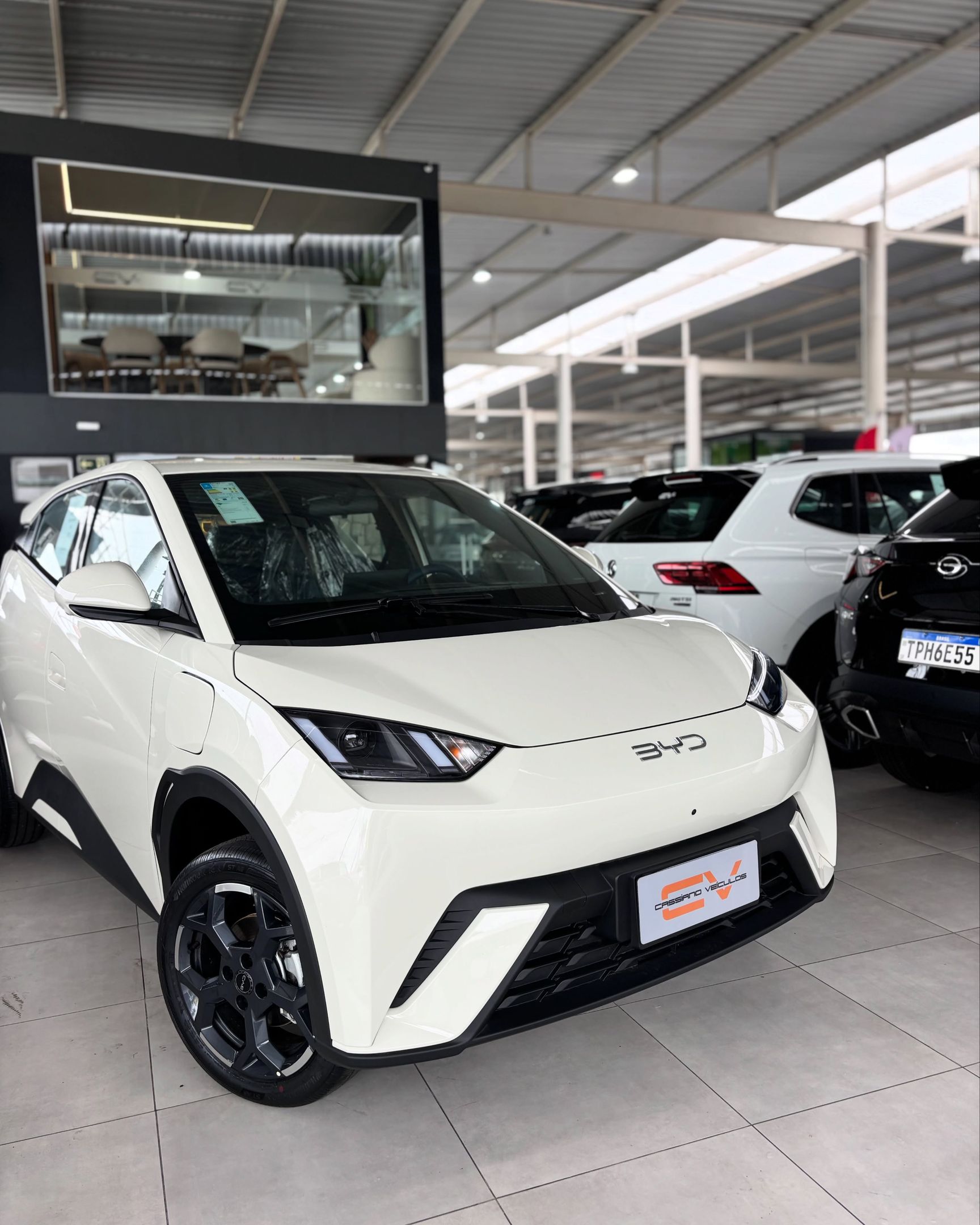 BYD Dolphin 3
