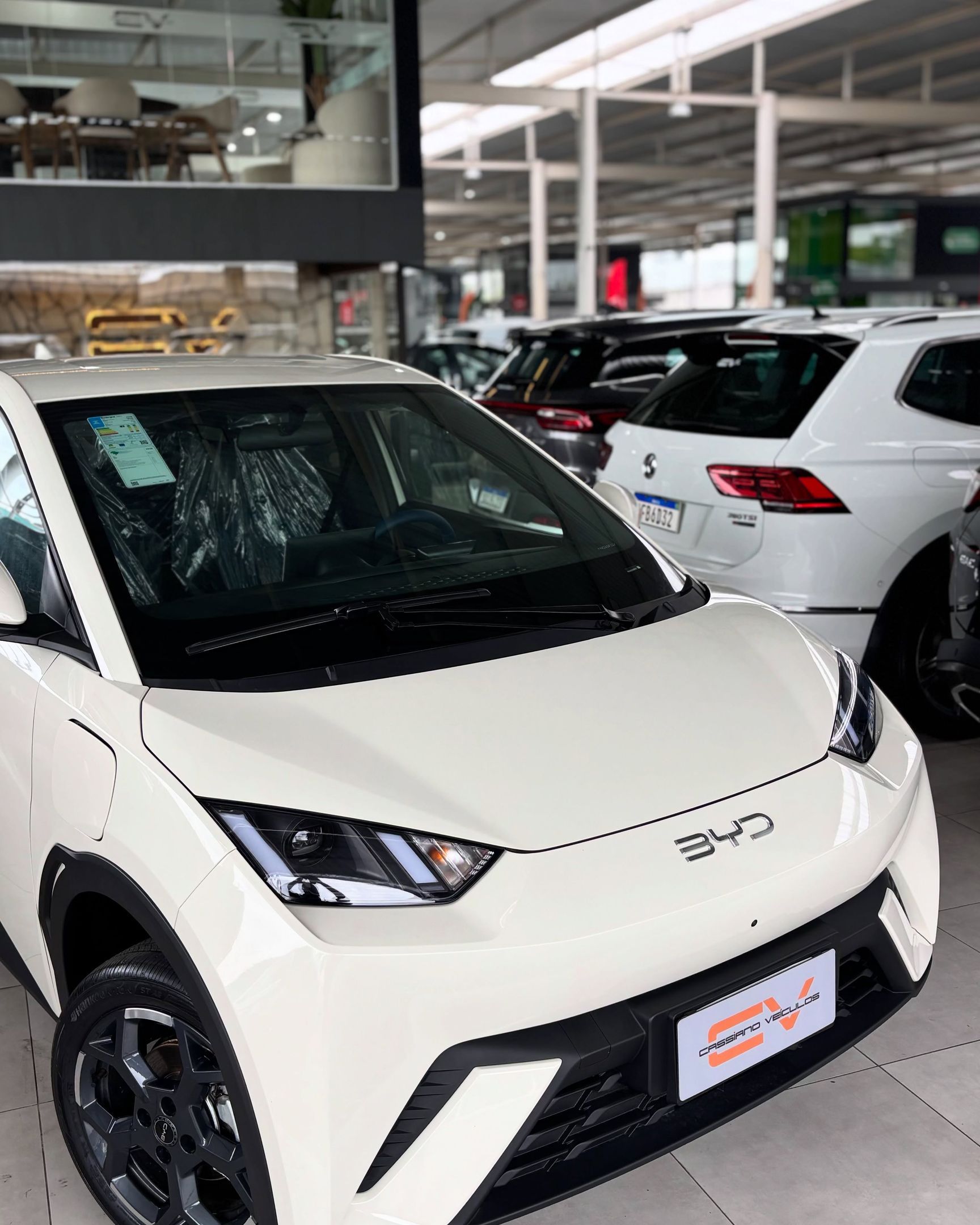BYD Dolphin 18