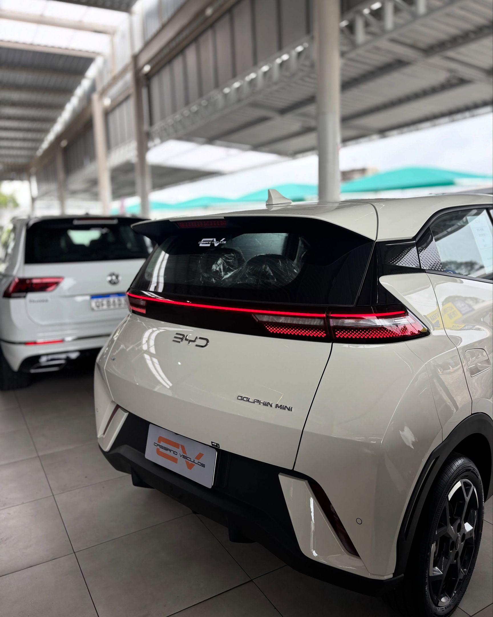 BYD Dolphin 15
