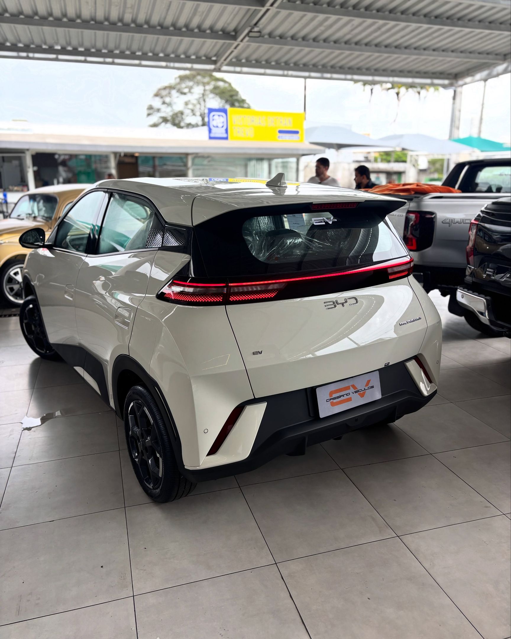 BYD Dolphin 12