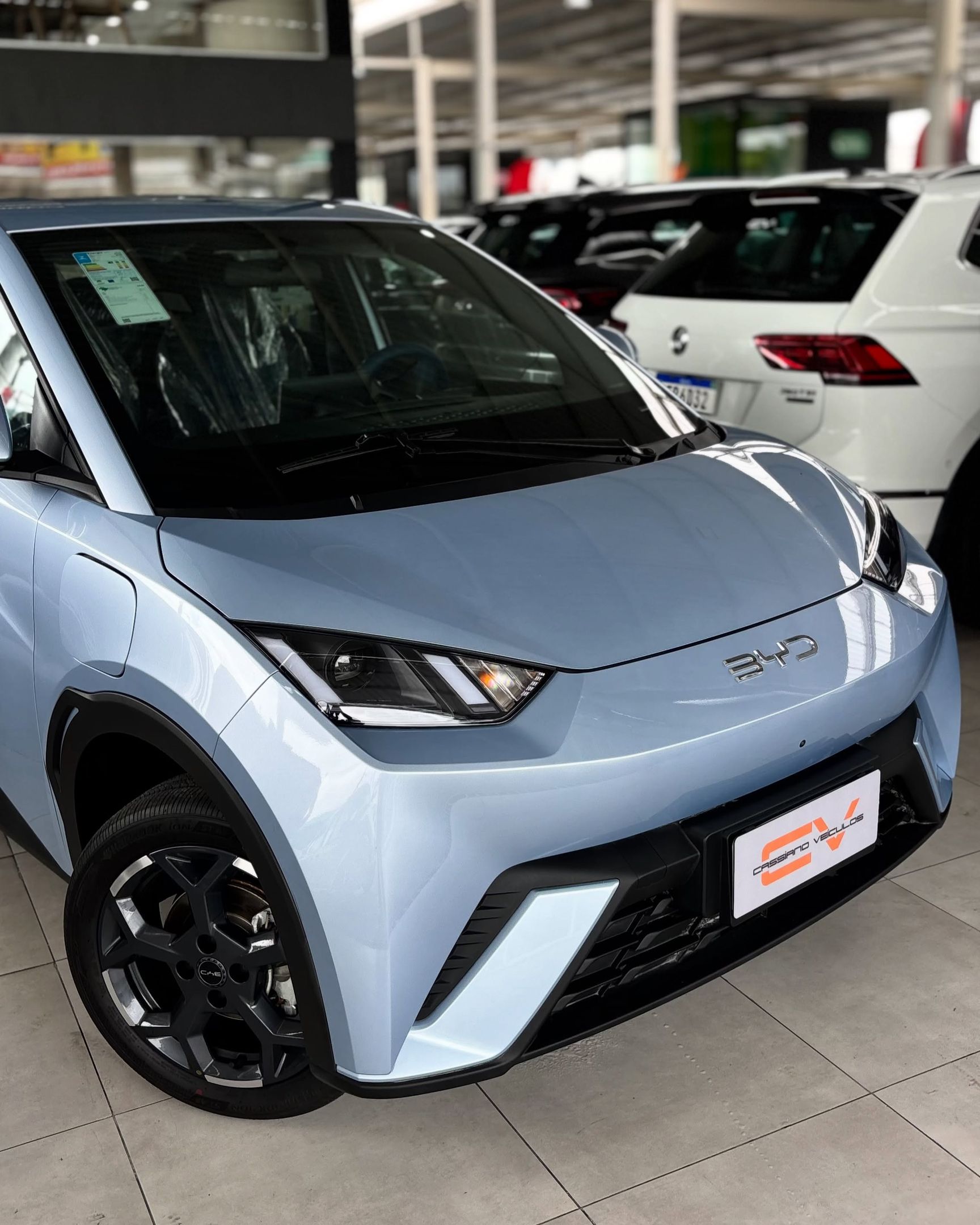 BYD Dolphin 18