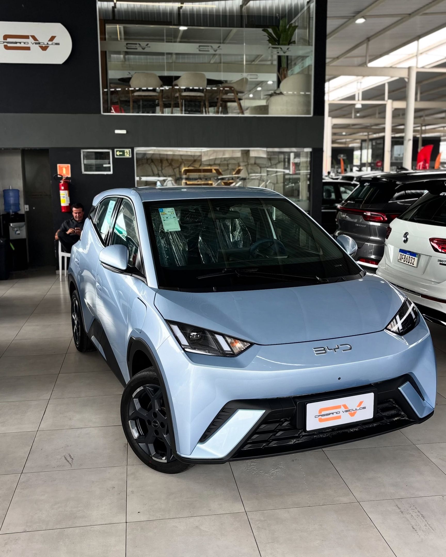 BYD Dolphin 19