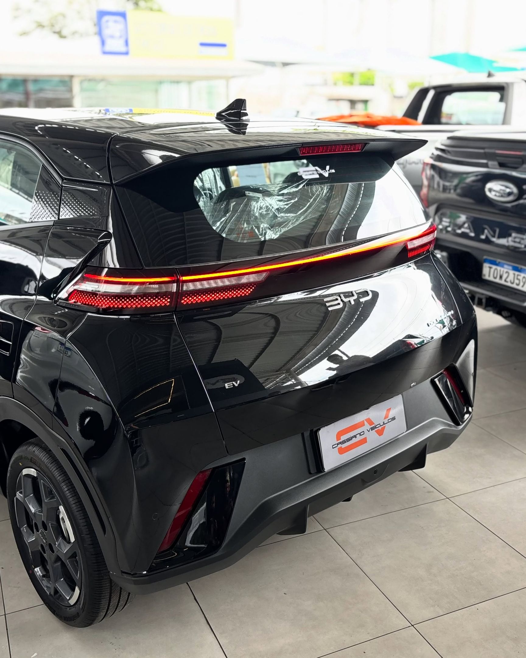 BYD Dolphin 12