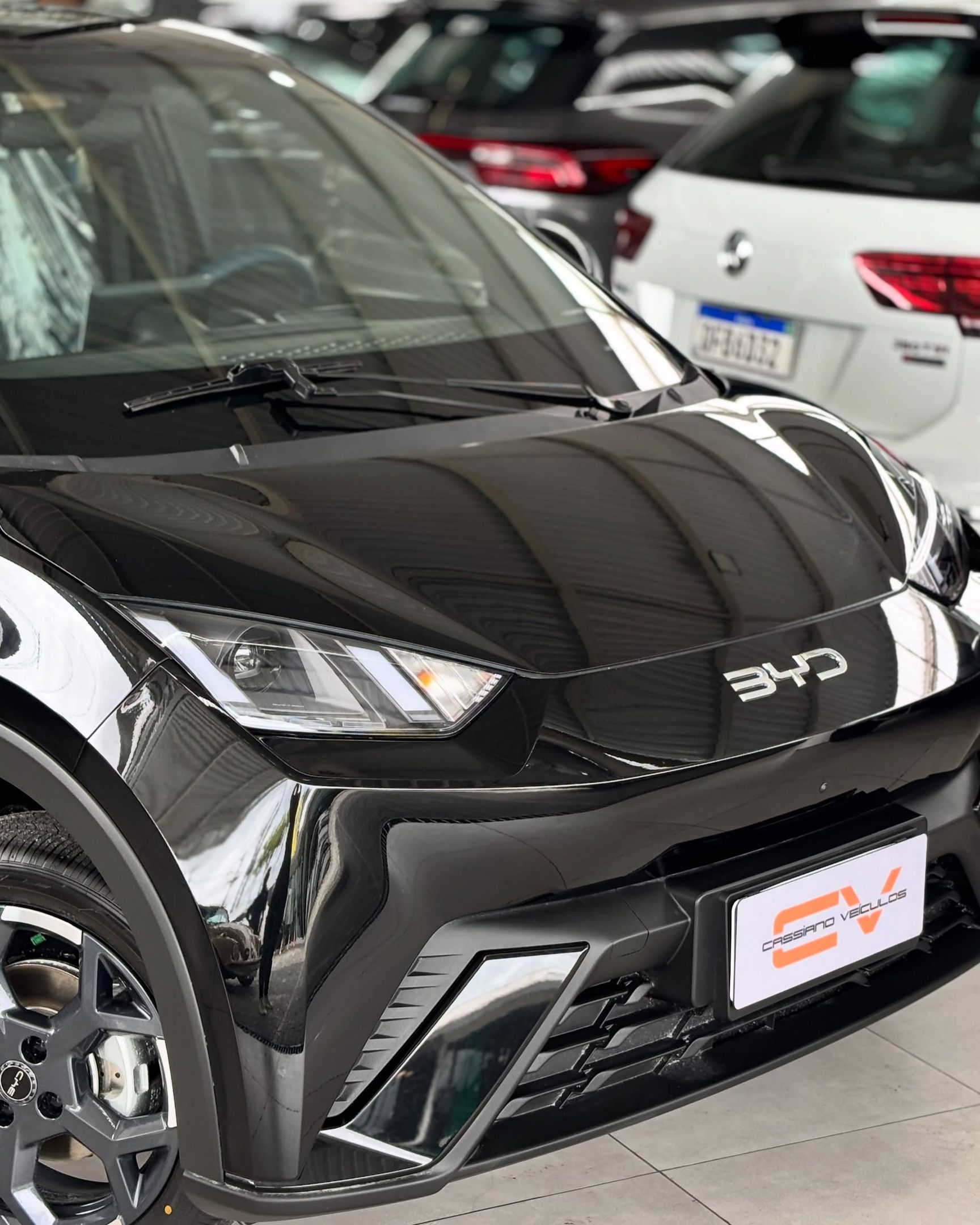 BYD Dolphin 15