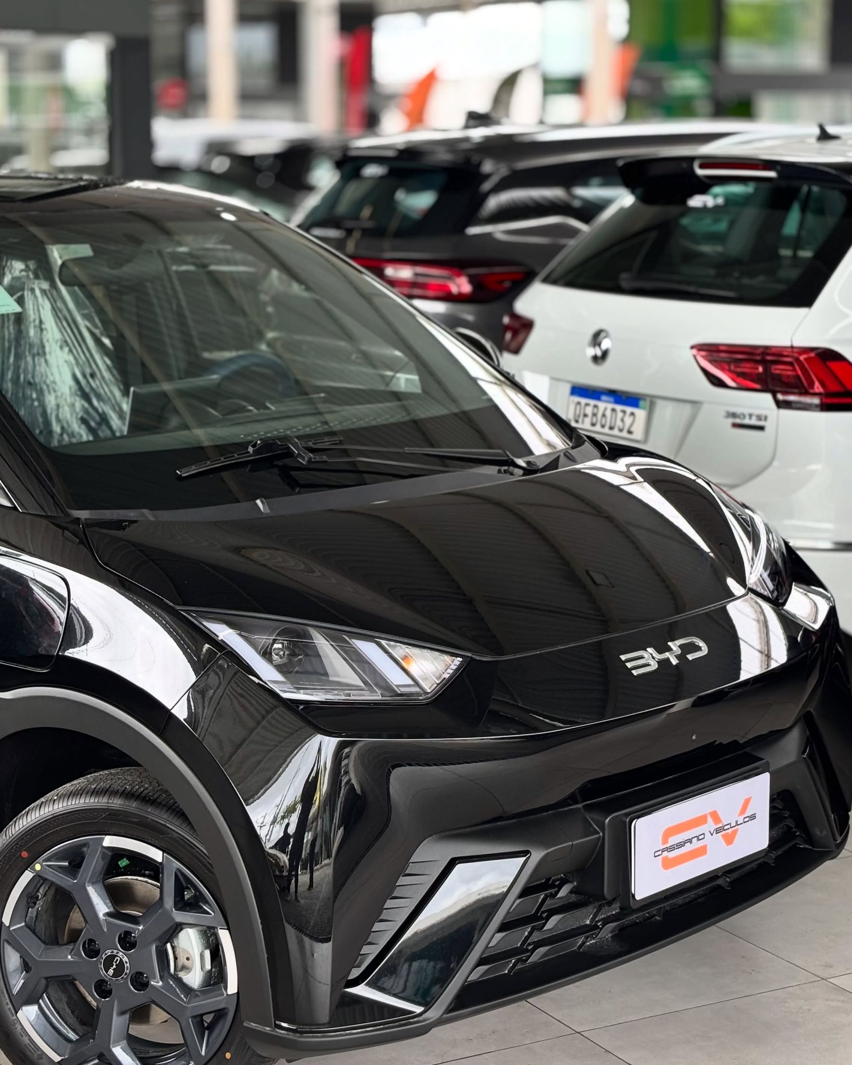 BYD Dolphin 13
