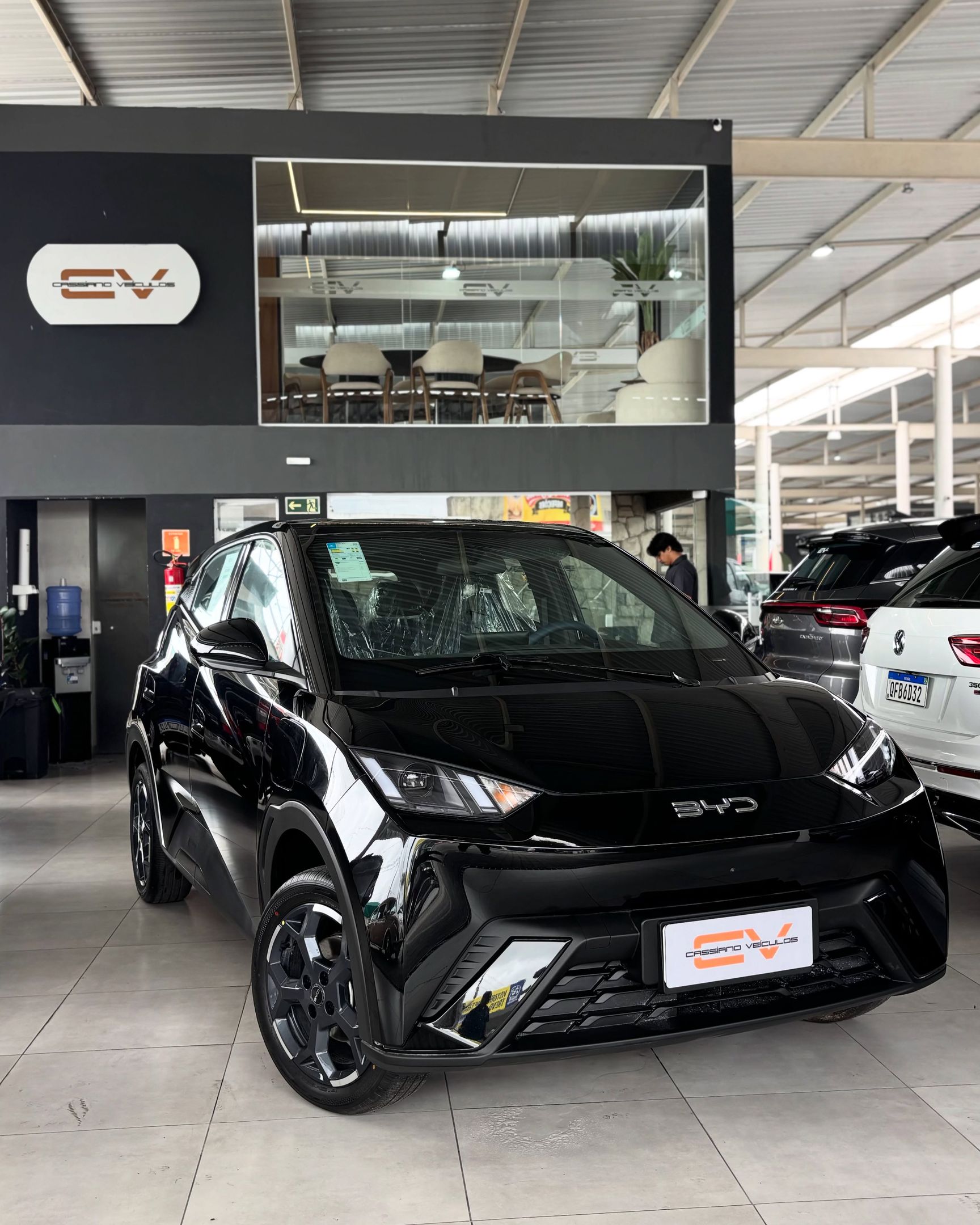 BYD Dolphin 14